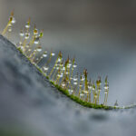 VABILO na fotografsko razstavo Ivana Tavčarja